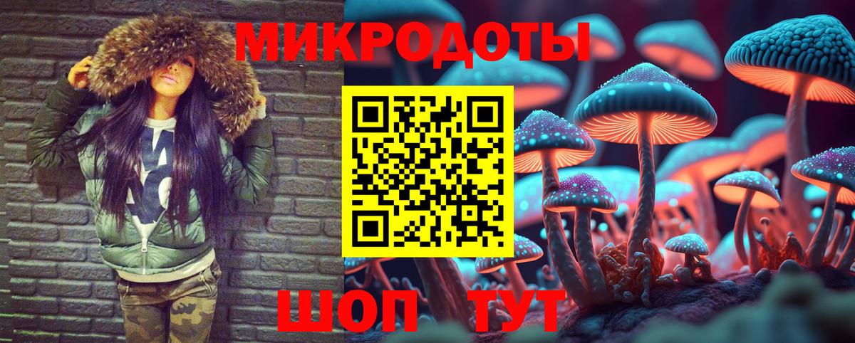 Галлюциногенные грибы Psilocybine cubensis Подольск